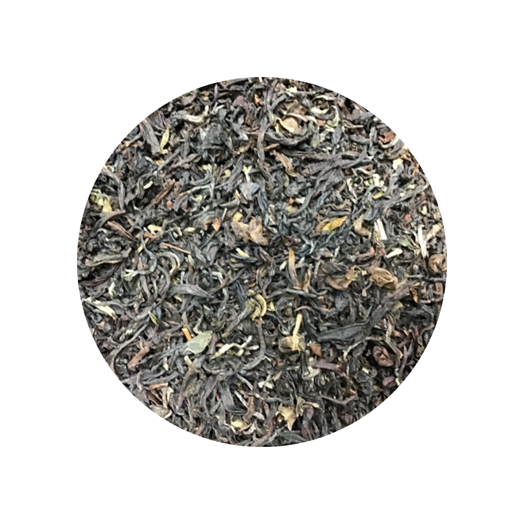 Bonston BP-13 Automatic Tea Brewer — Yunnan Sourcing Tea Shop